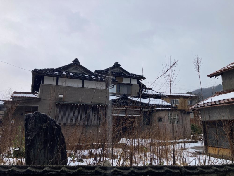 photo_1